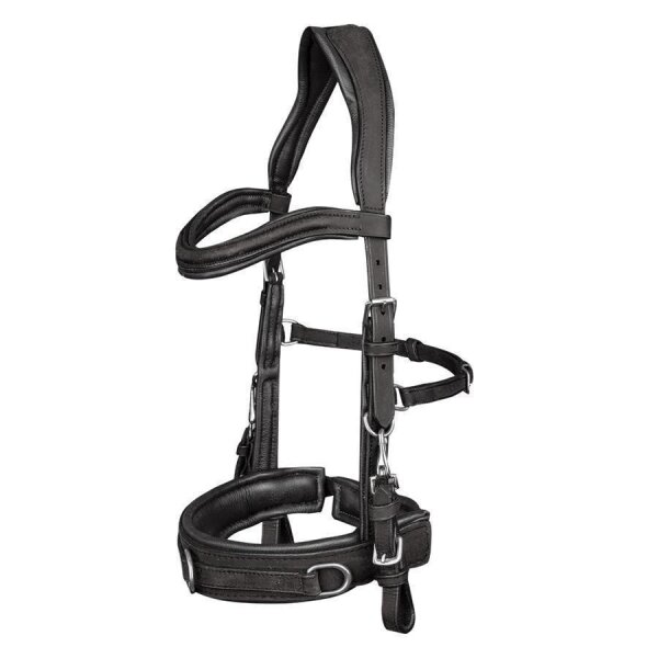 Lederkappzaum anatomic