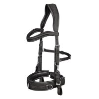 Lederkappzaum anatomic