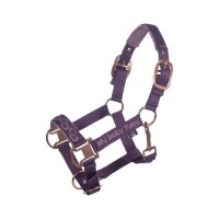 Halfter -Alva-