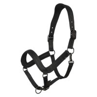 Halfter HVPEssential