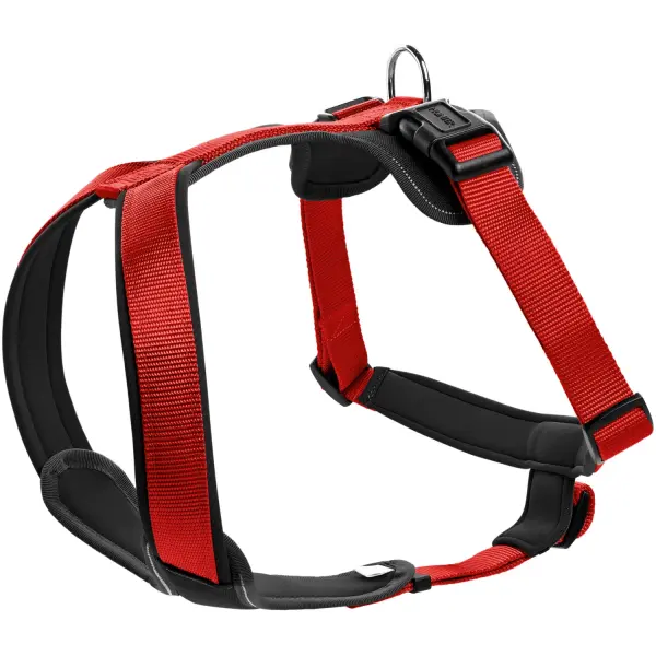 Hunter Geschirr Neopren S