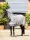LeMieux Arika Armour - Tek Fly Rug