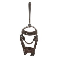 Bridle charm HVPLegacy