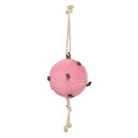 Horse ball HVPVolley