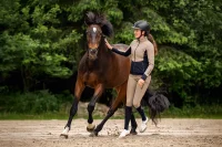Cavallo Hybridjacke CAVALBLU
