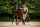 Cavallo Hybridjacke CAVALBLU