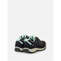 Aigle Vedur Low