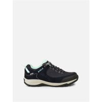 Aigle Vedur Low
