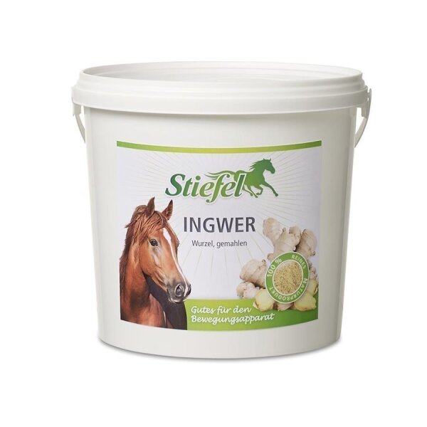 Stiefel Ingwer 1 kg Eimer