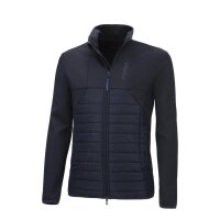 Pikeur Arvid