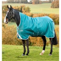 Horseware Amigo Bravo 12 Wug Turnout 250g