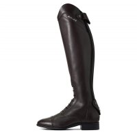 Ariat Palisade Stiefel