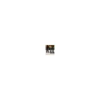 Waldhausen COMFORT Transportgamasche, 4er Set