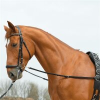 Ausbindezügel BASIC-STARR