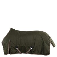 BR Turnout Rug 150g