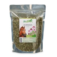 Stiefel Echinacea