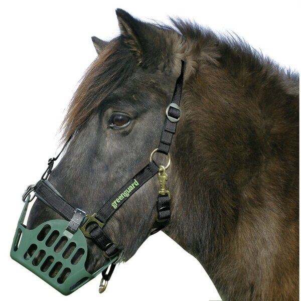 greenguard ® Halfter einzeln zu Fressbremse Maulkorb