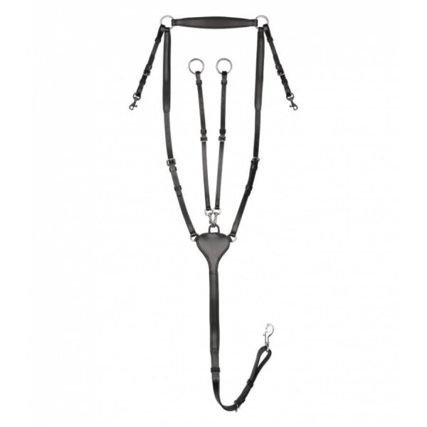 Waldhausen X-Line Vorderzeug Professional