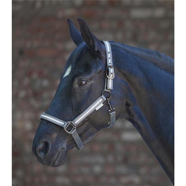 REFLEX Halfter Stripe