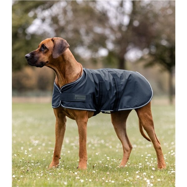 Regen-Hundedecke