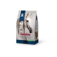 Derby Gastrolinis