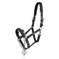 Halfter Pro Safety